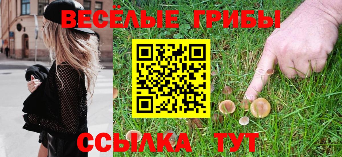 Карабулак  Галлюциногенные грибы Psilocybe  Вход с VPN  Галлюциногенные грибы Psilocybine cubensis 