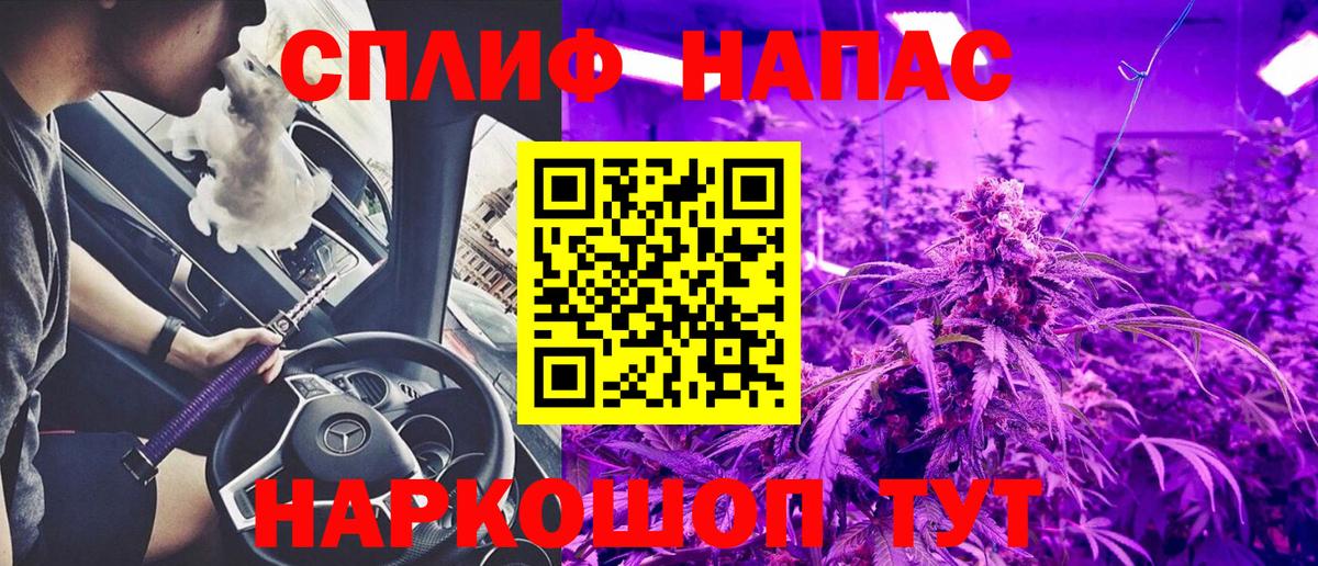 Каннабис ГИДРОПОН  Конопля планчик  Вход с VPN  Карабулак  Марихуана планчик 